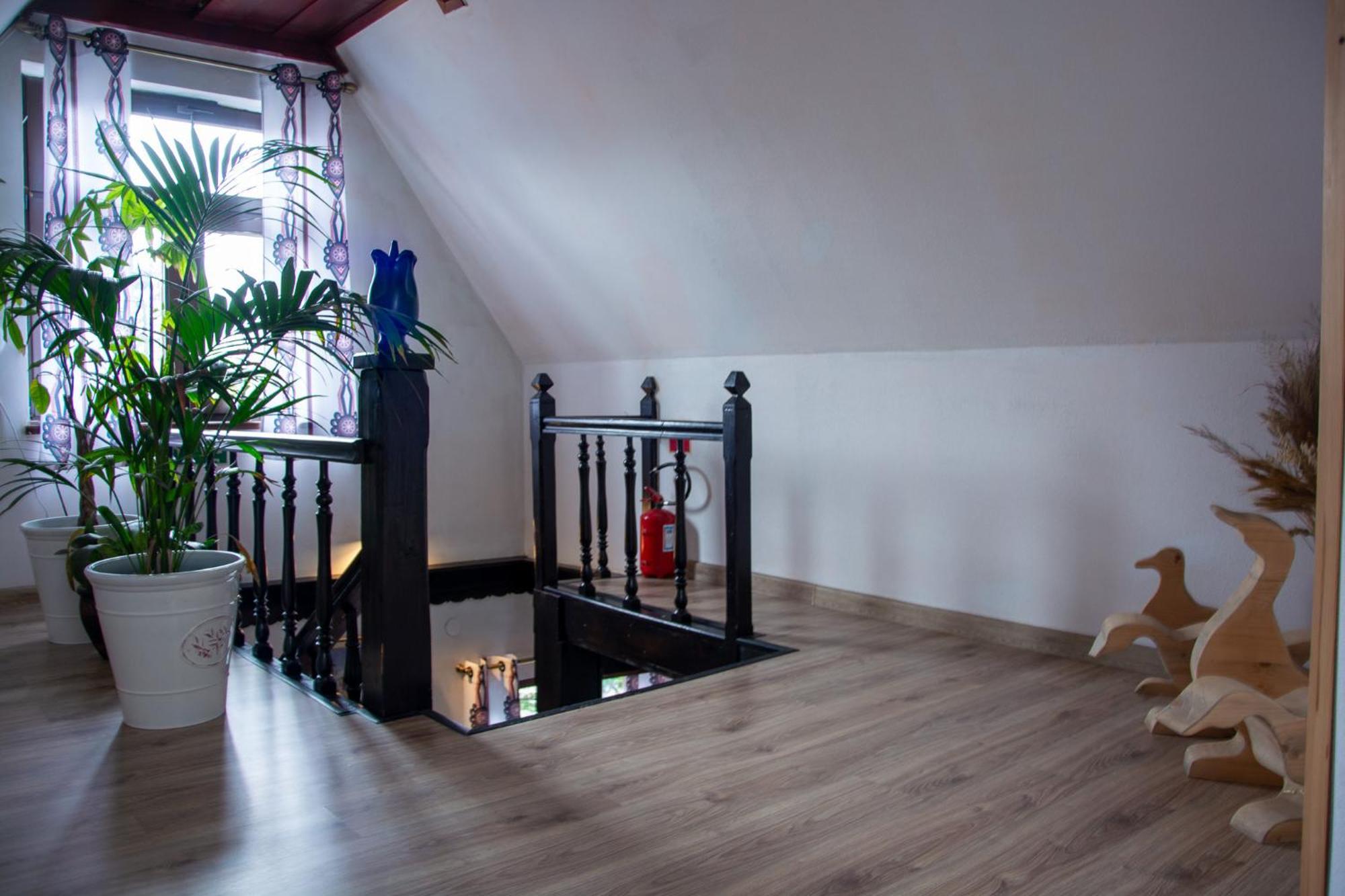 Czarna Willa Zakopane Ngoại thất bức ảnh